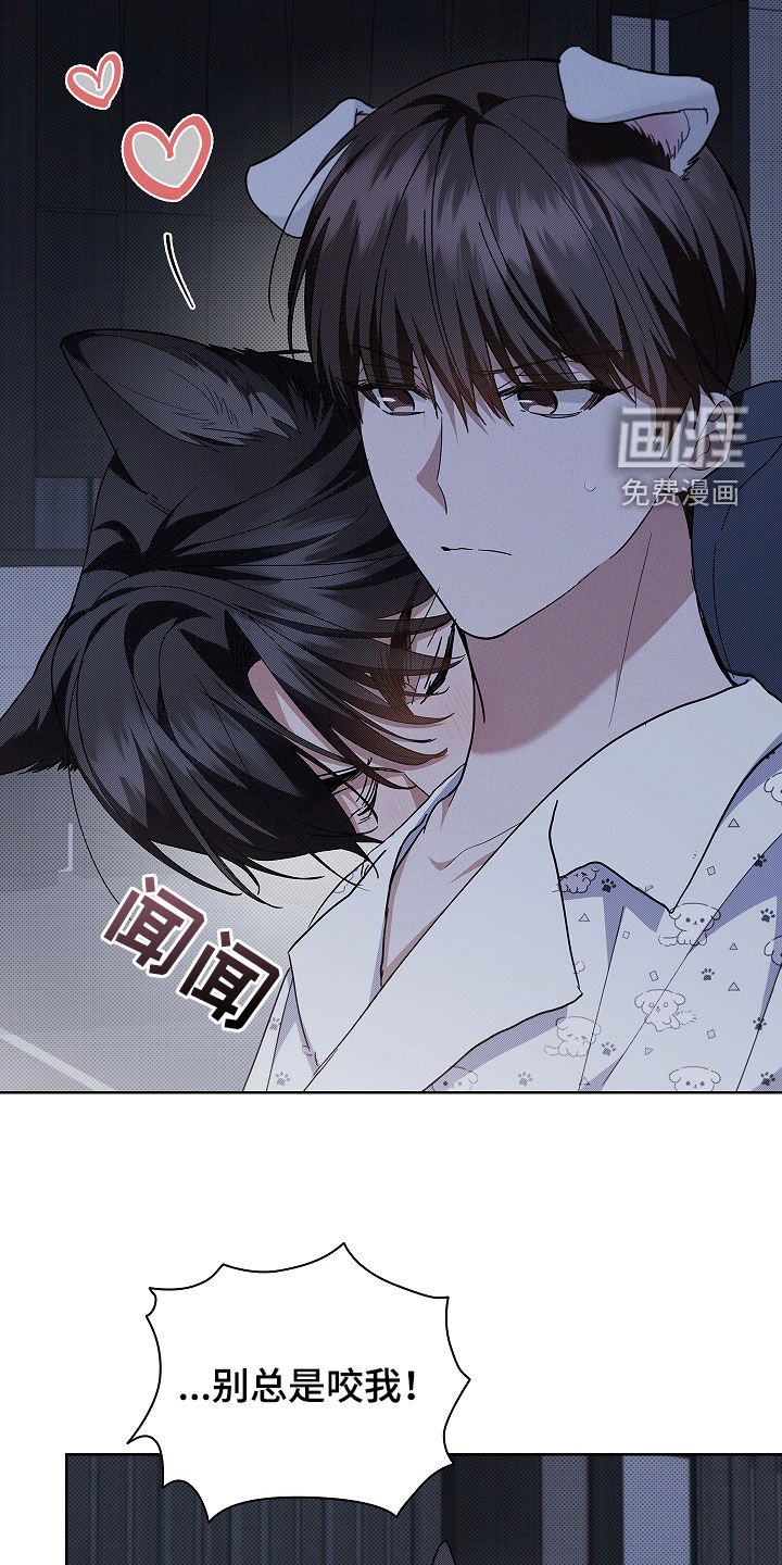第46章：这是什么