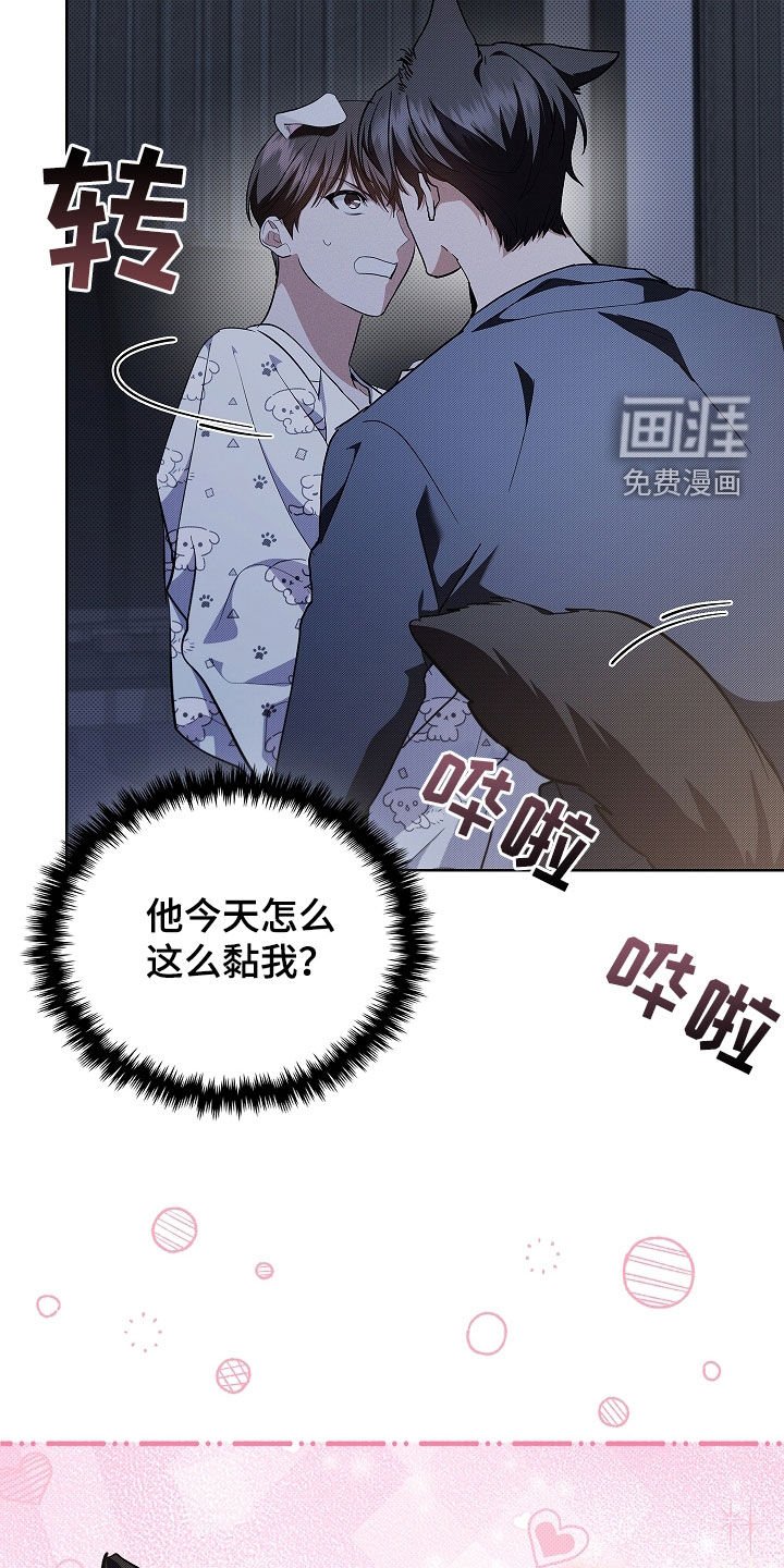 第46章：这是什么