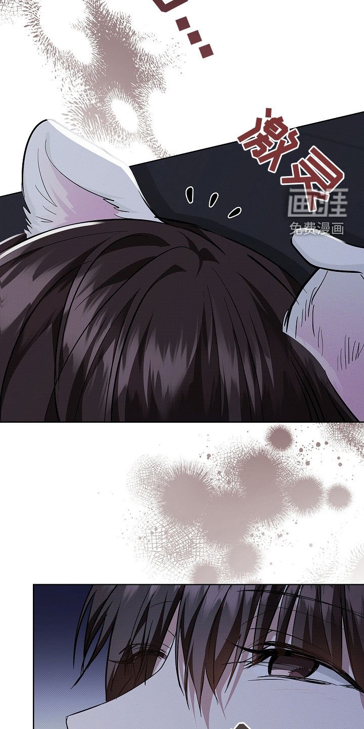 第46章：这是什么