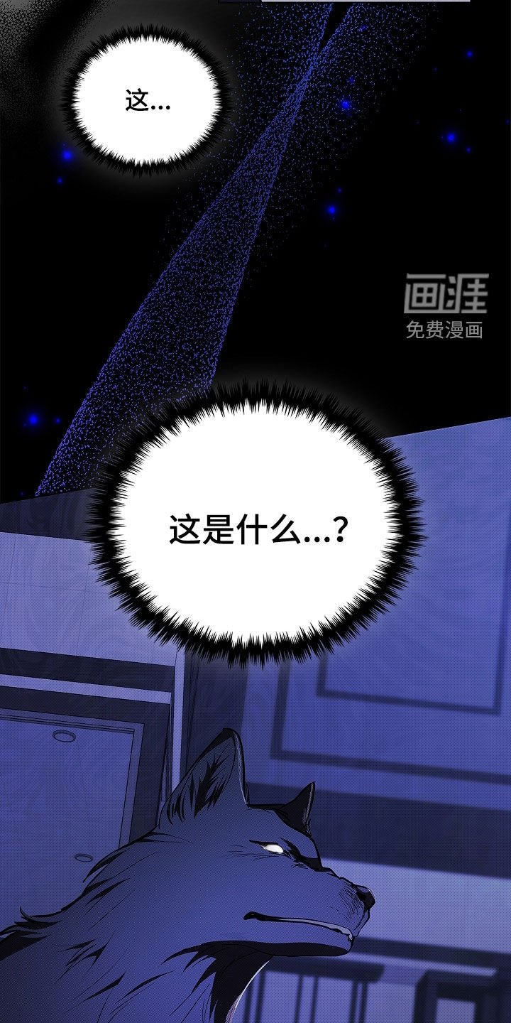 第46章：这是什么
