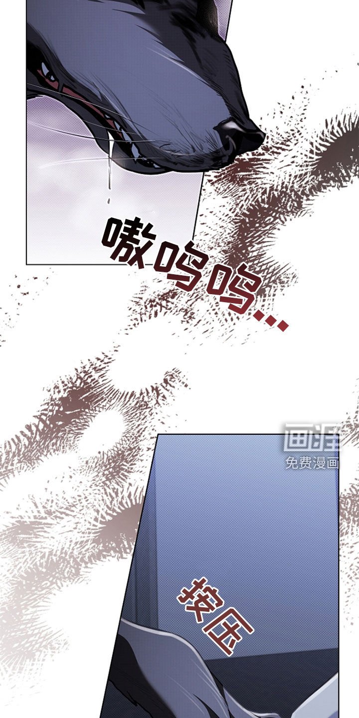 第47章：他想攻击我