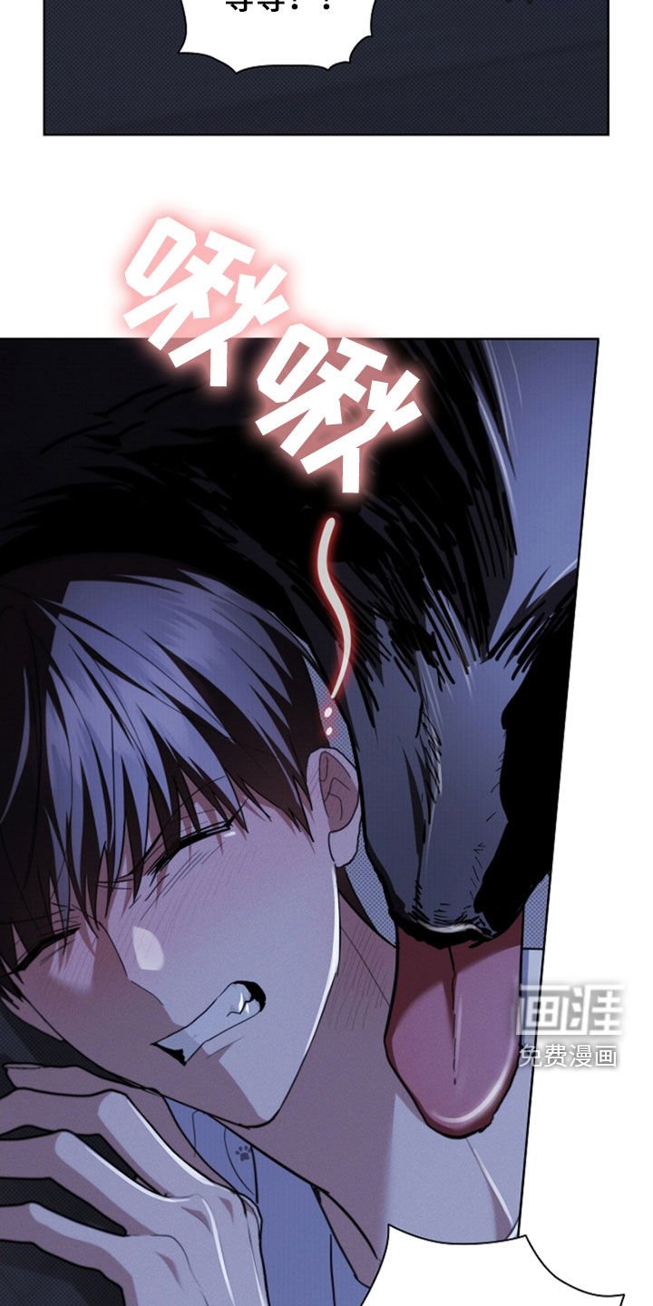 第47章：他想攻击我