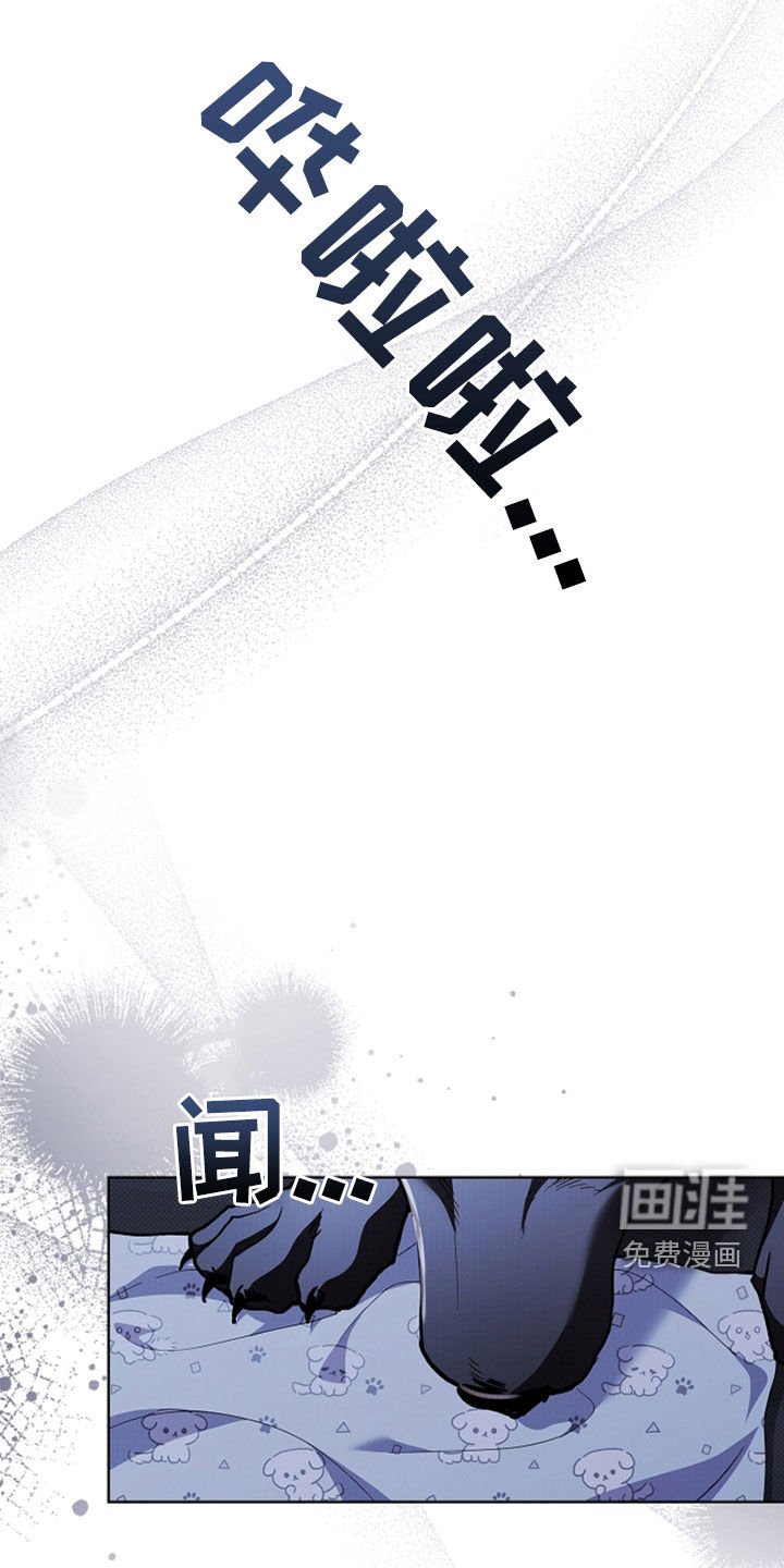 第47章：他想攻击我