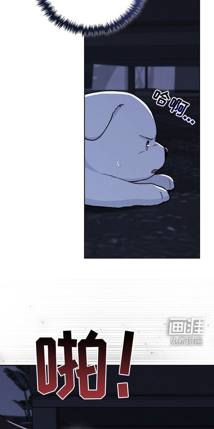 第47章：他想攻击我