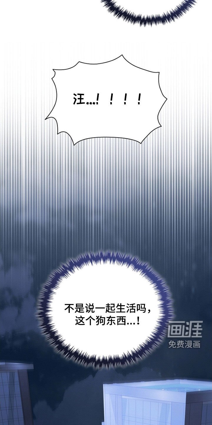 第47章：他想攻击我