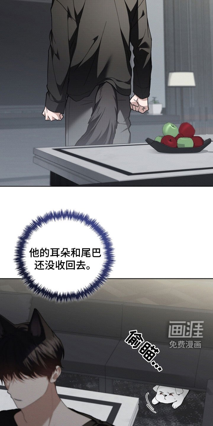 第47章：他想攻击我