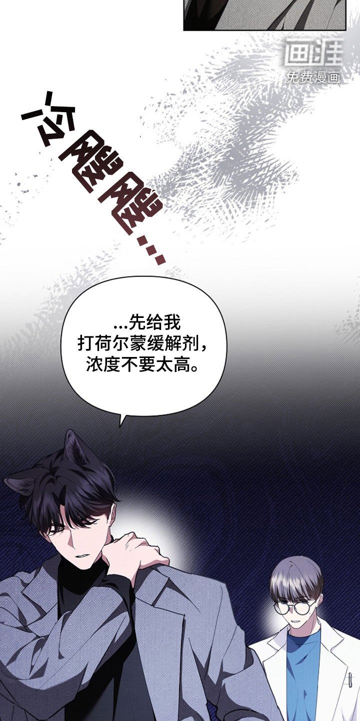 第49章：建议