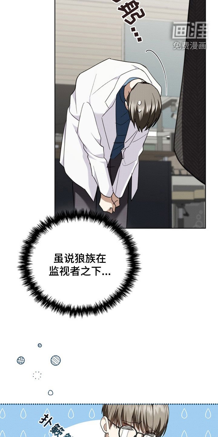 第49章：建议