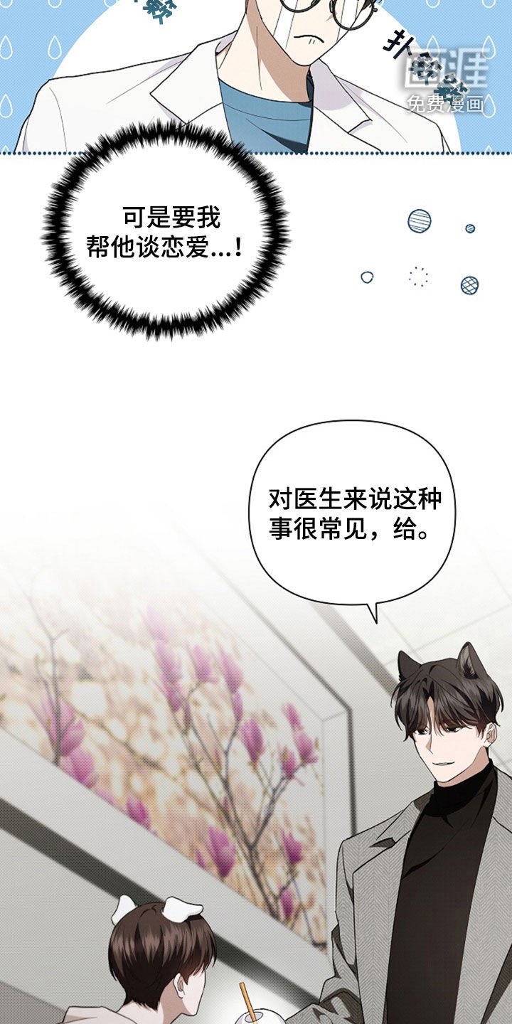 第49章：建议