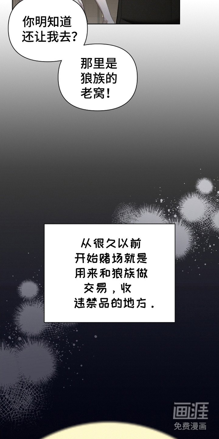 第5章：最后一票