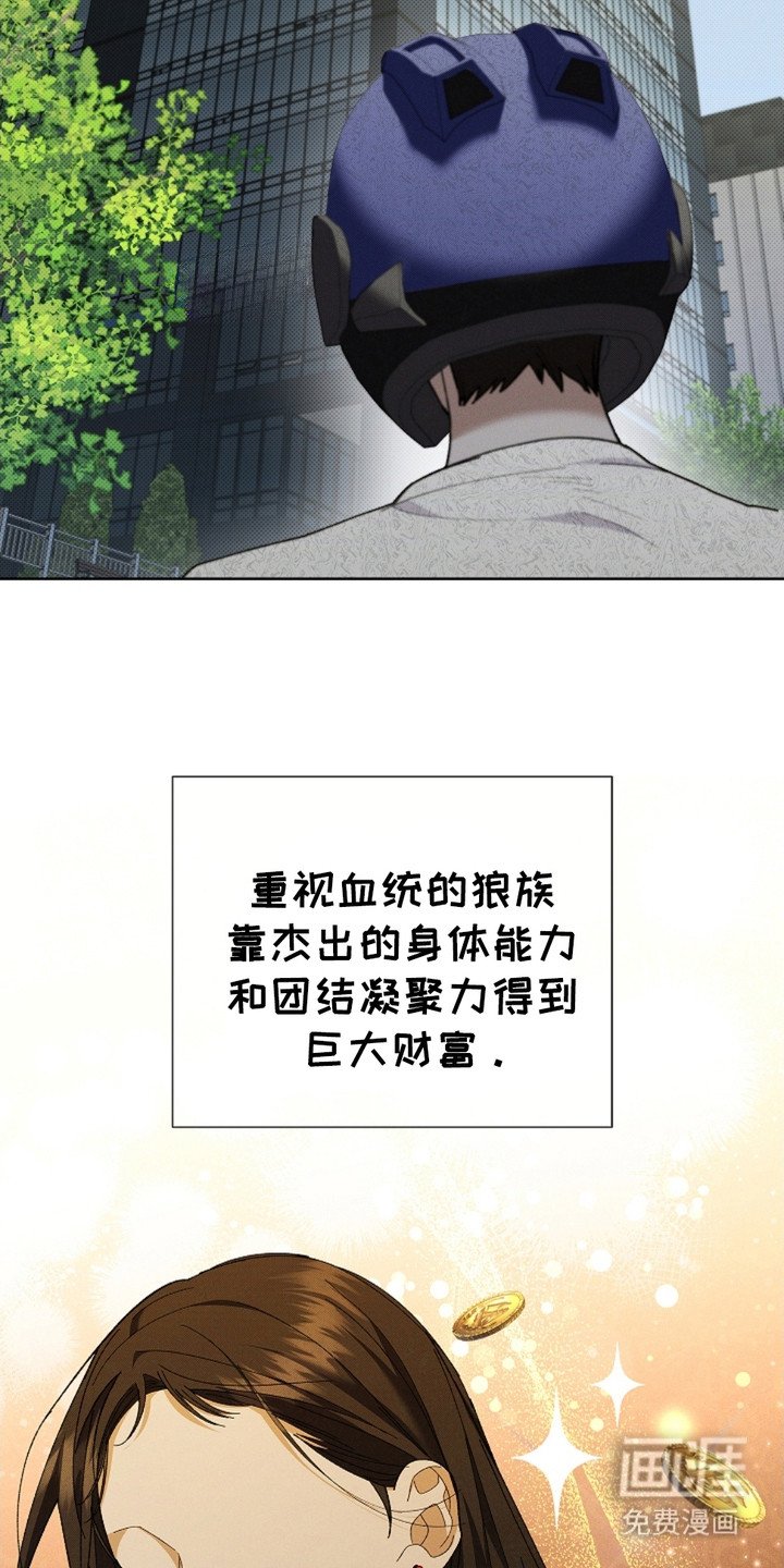 第5章：最后一票