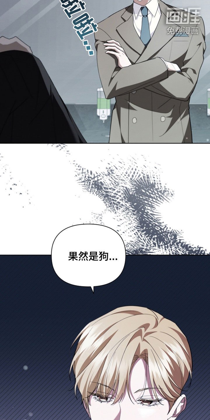第51章：我闯祸了