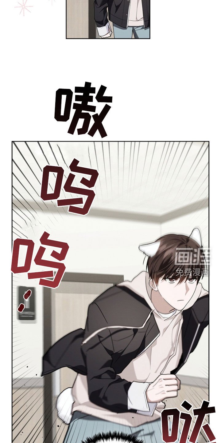 第51章：我闯祸了
