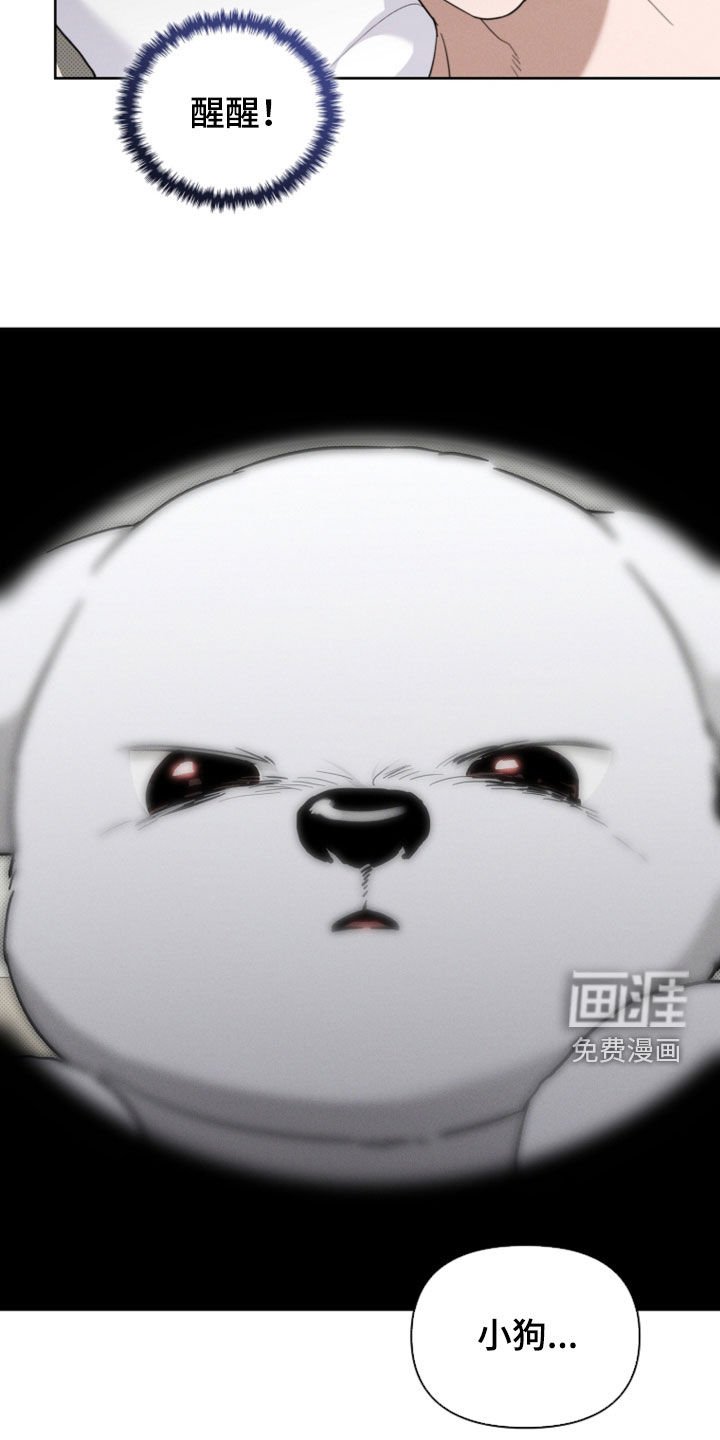 第52章：真是个神经病