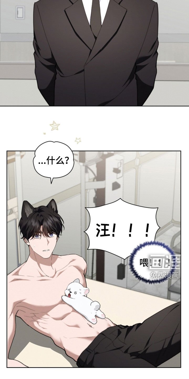 第52章：真是个神经病