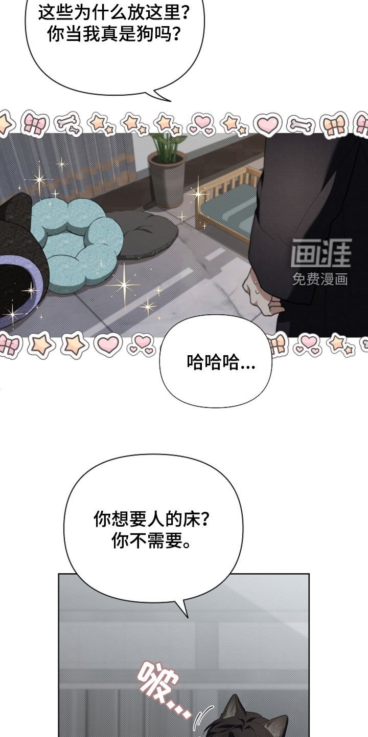 第53章：不难过