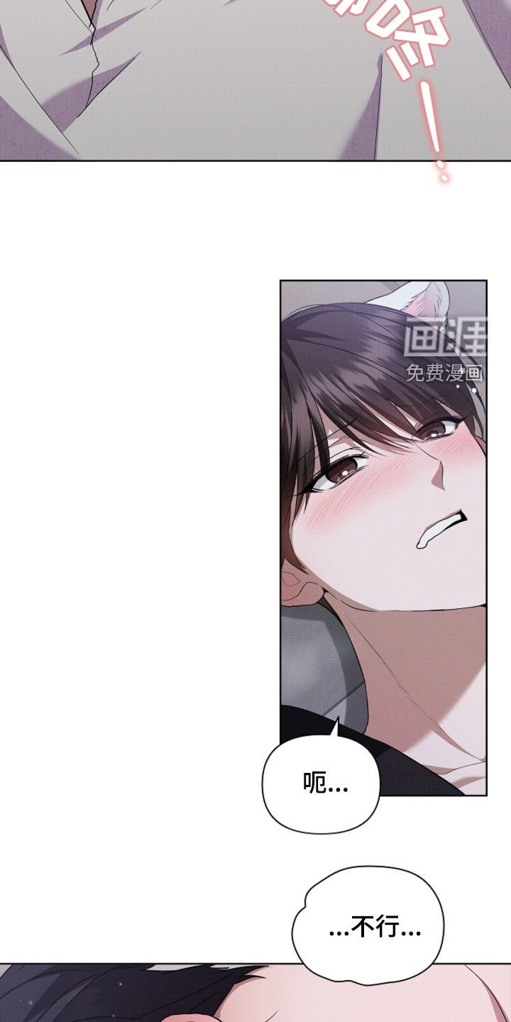 第55章：雇佣