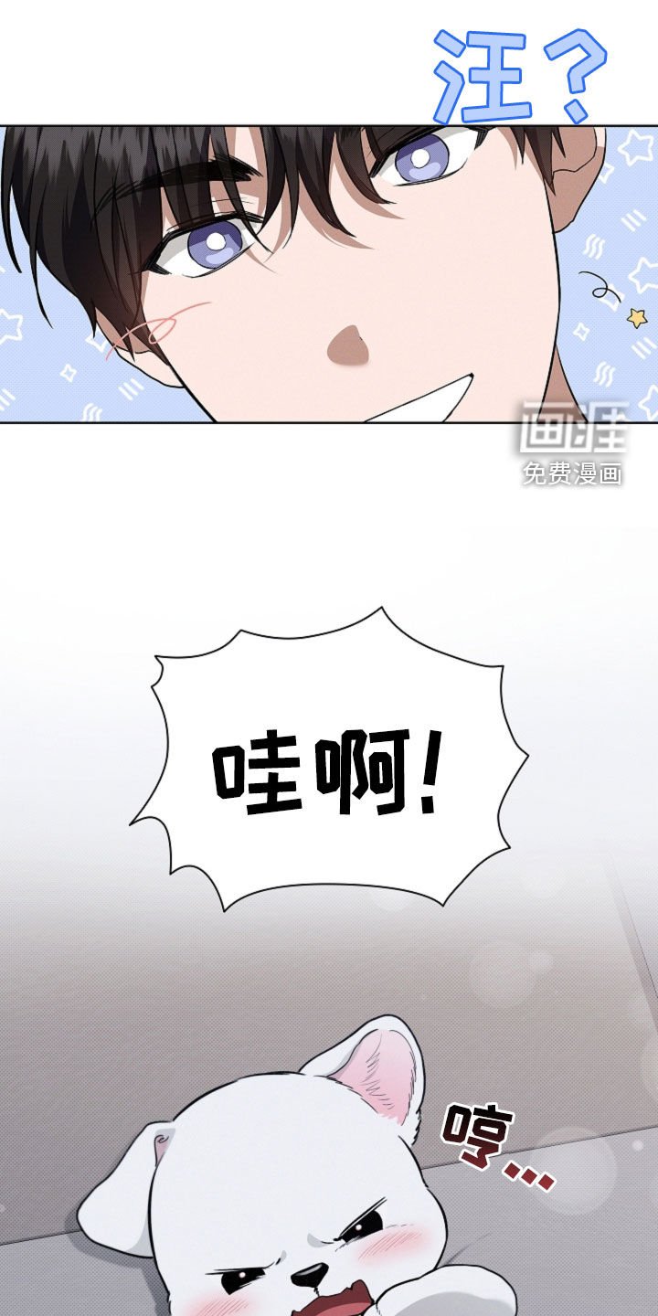 第55章：雇佣