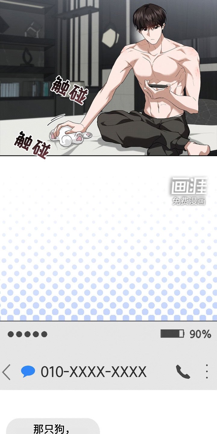 第61章：命运的安排