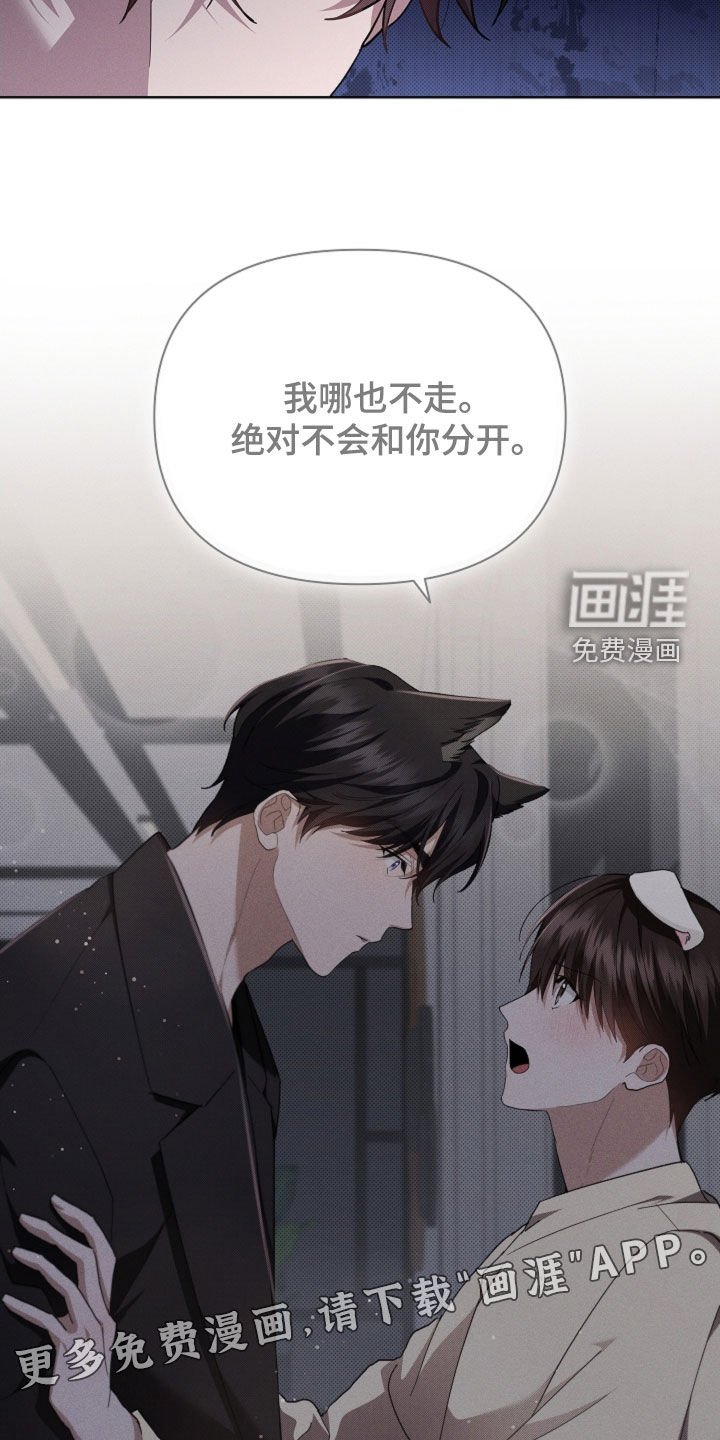 第61章：命运的安排