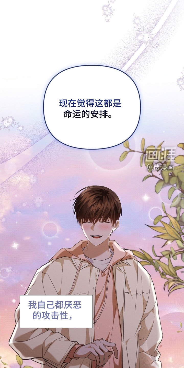 第61章：命运的安排