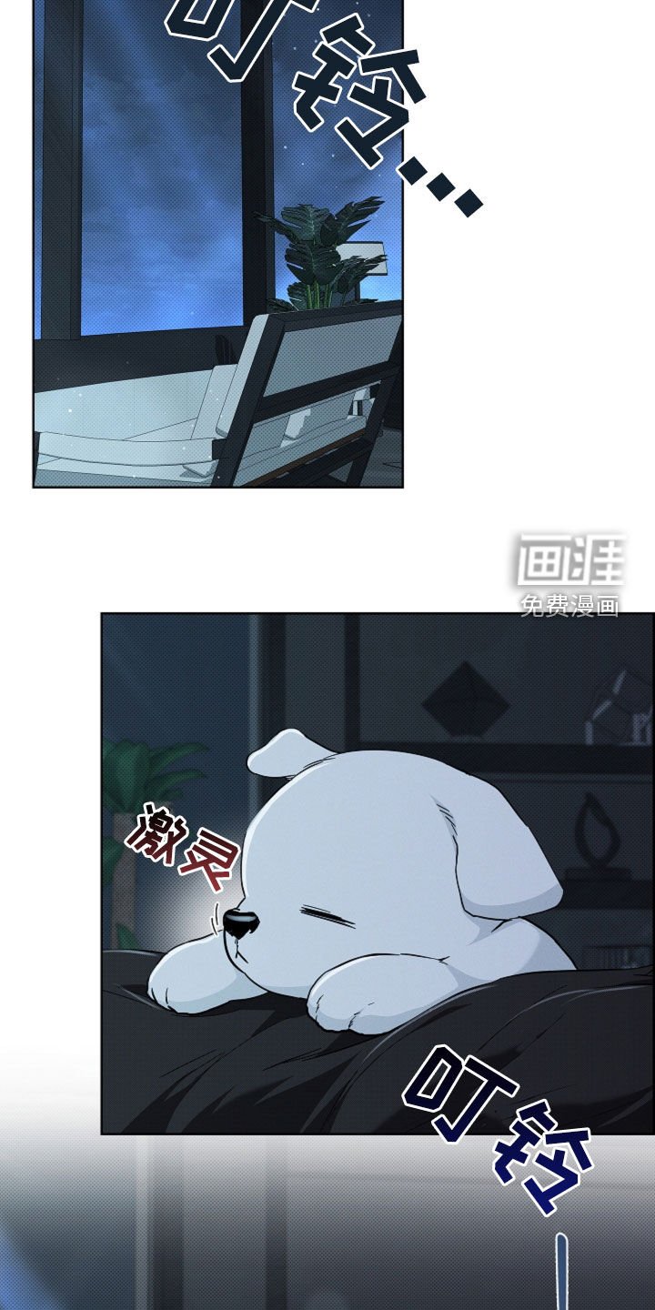 第61章：命运的安排