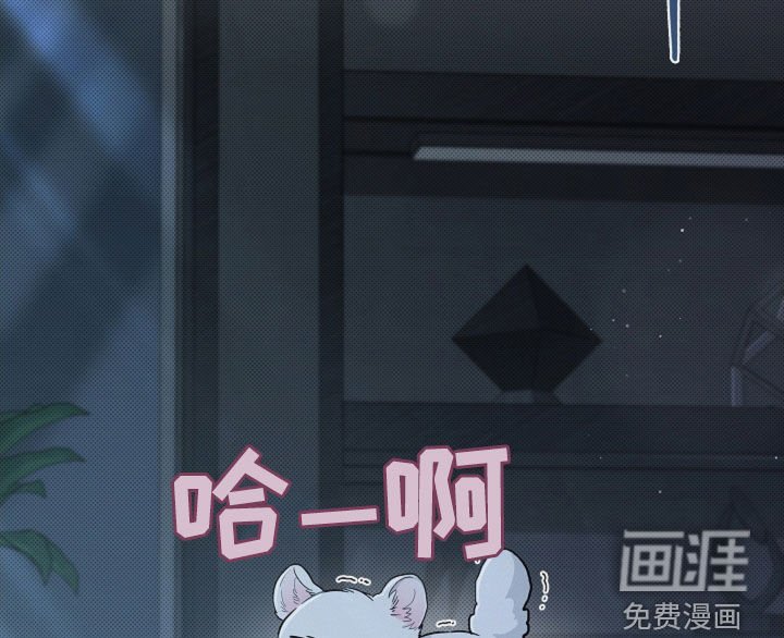 第61章：命运的安排