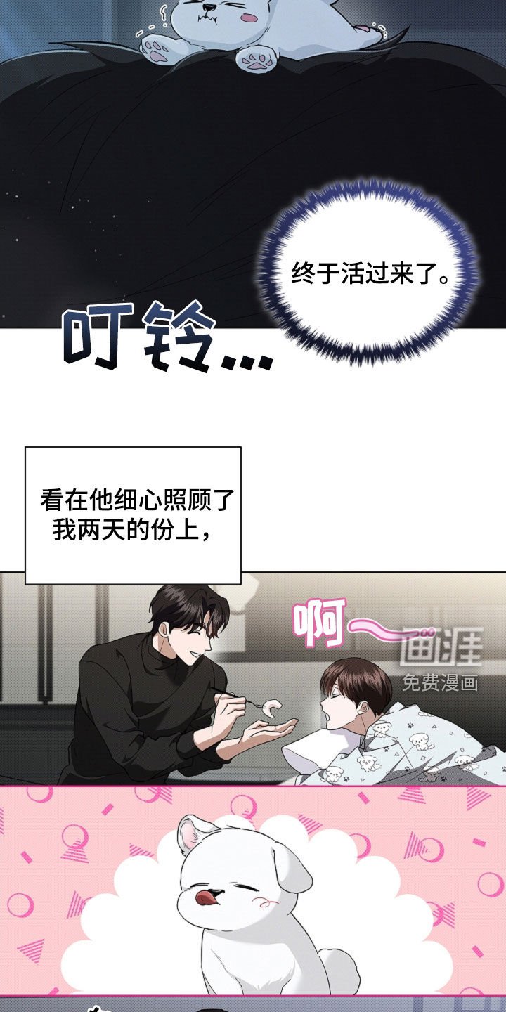 第61章：命运的安排