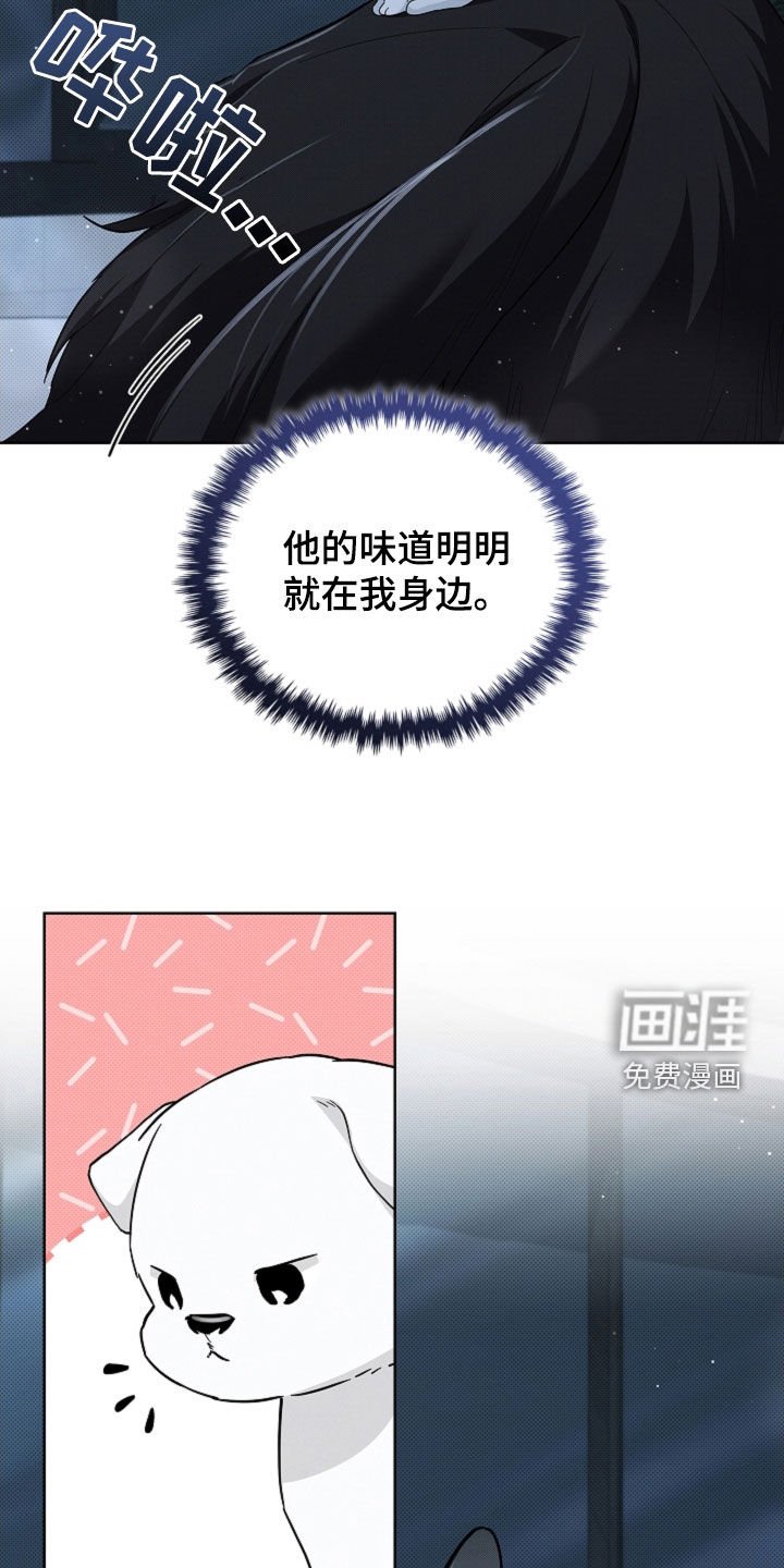 第61章：命运的安排