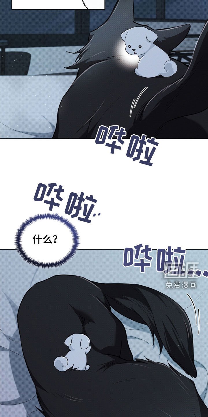 第61章：命运的安排