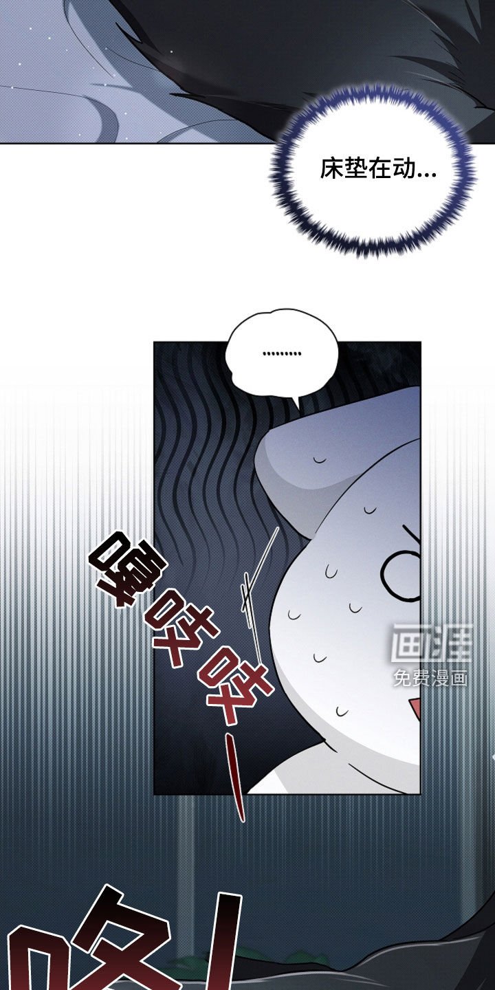 第61章：命运的安排