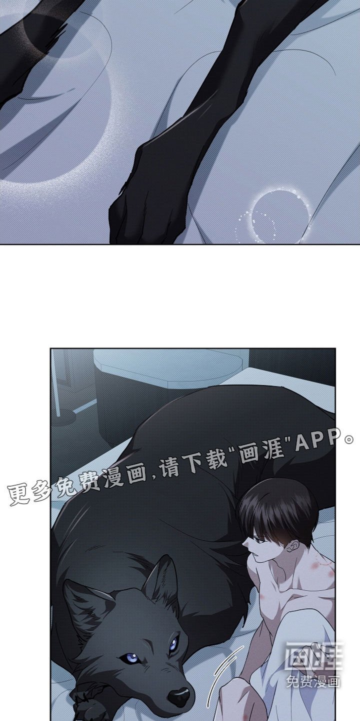 第62章：我们得结婚了