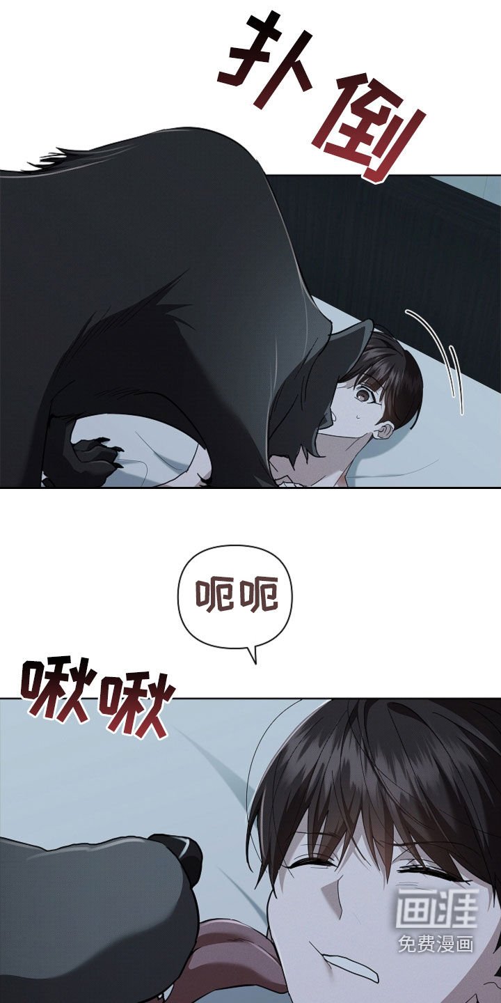 第62章：我们得结婚了