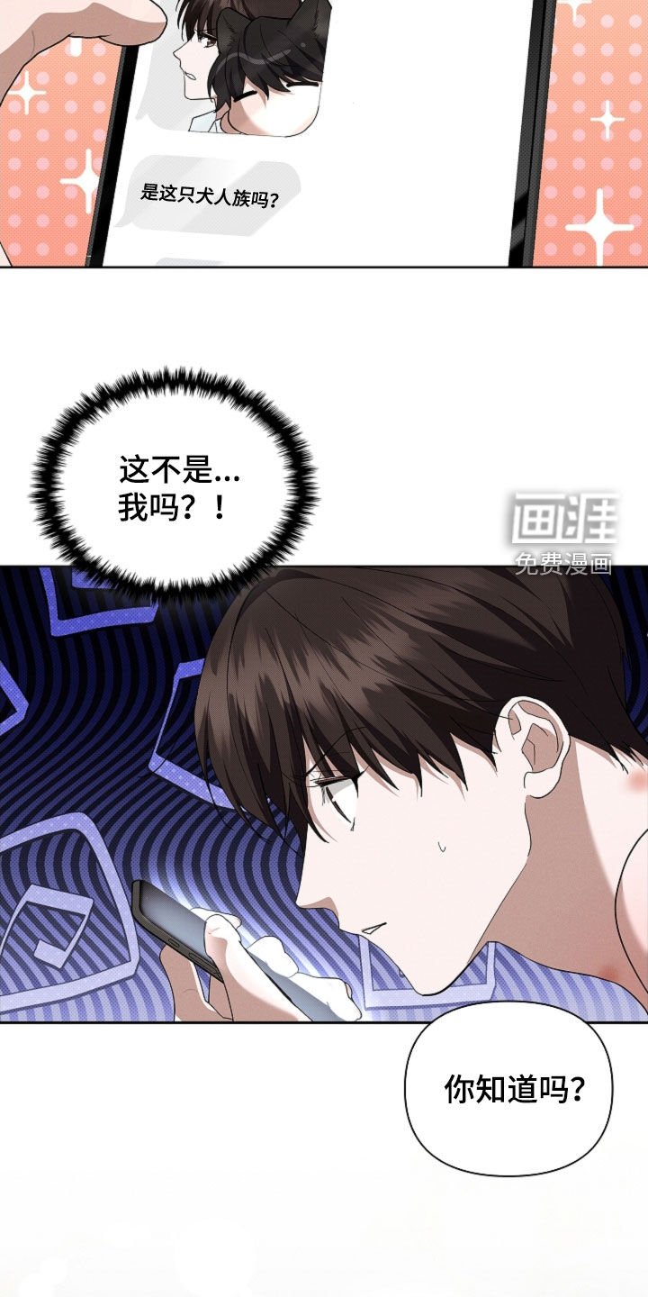 第62章：我们得结婚了