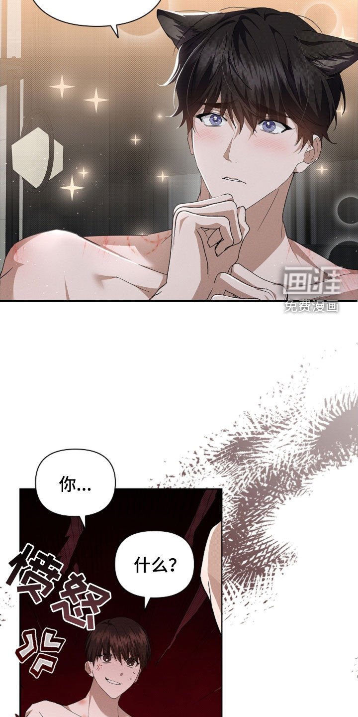 第62章：我们得结婚了