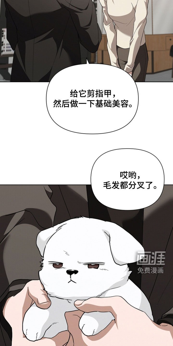 第63章：做美容