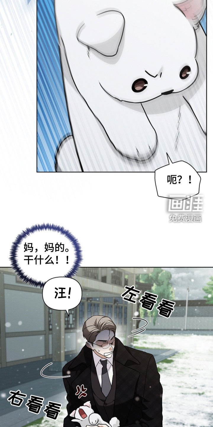 第76章：【第二季】疯狼