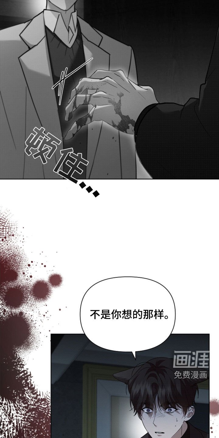 第80章：【第二季】受伤