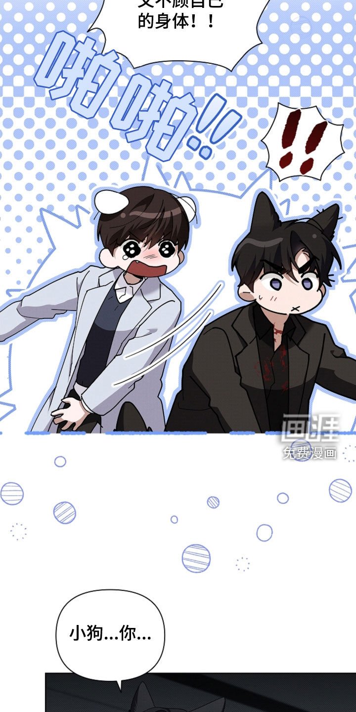 第80章：【第二季】受伤