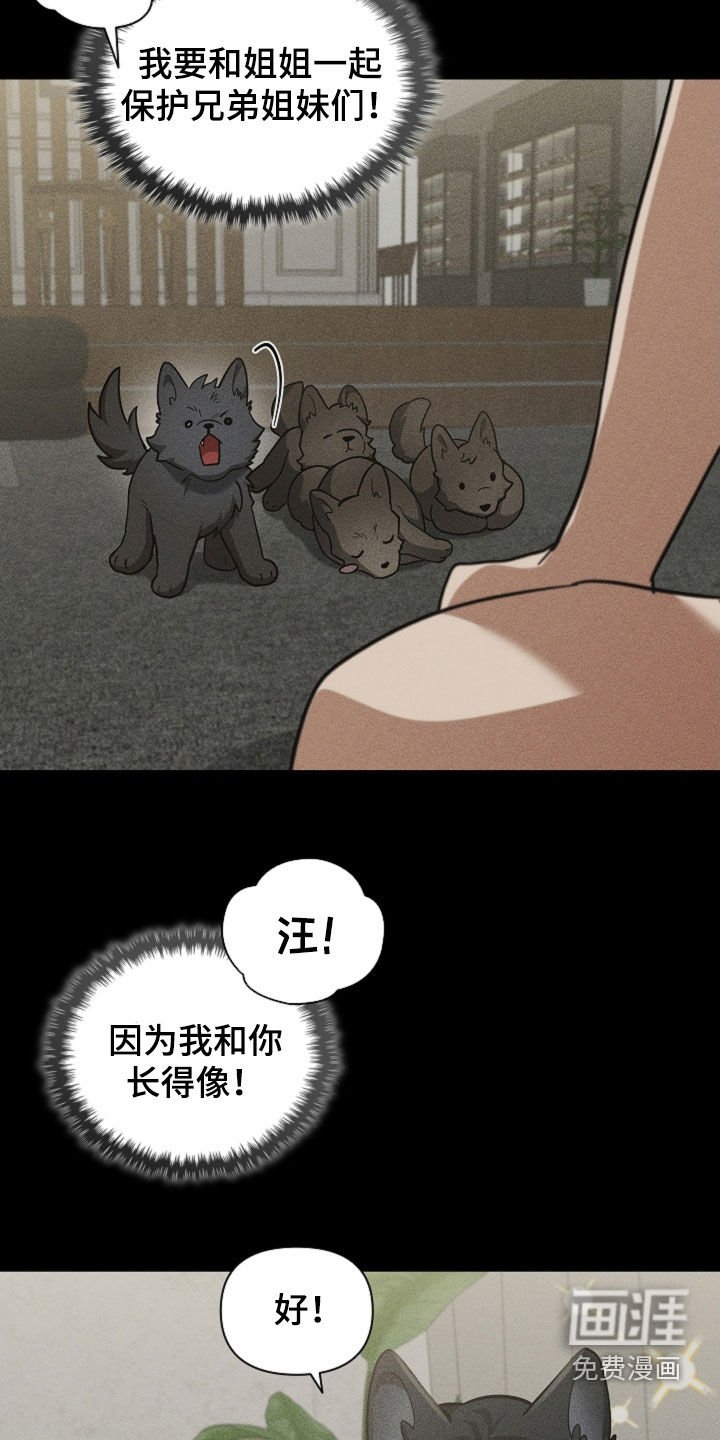 第81章：【第二季】医院生活