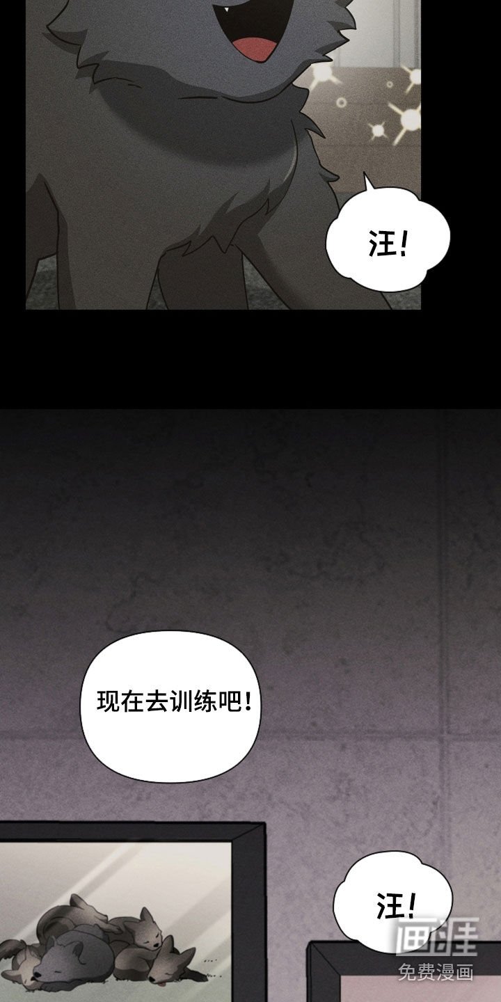 第81章：【第二季】医院生活
