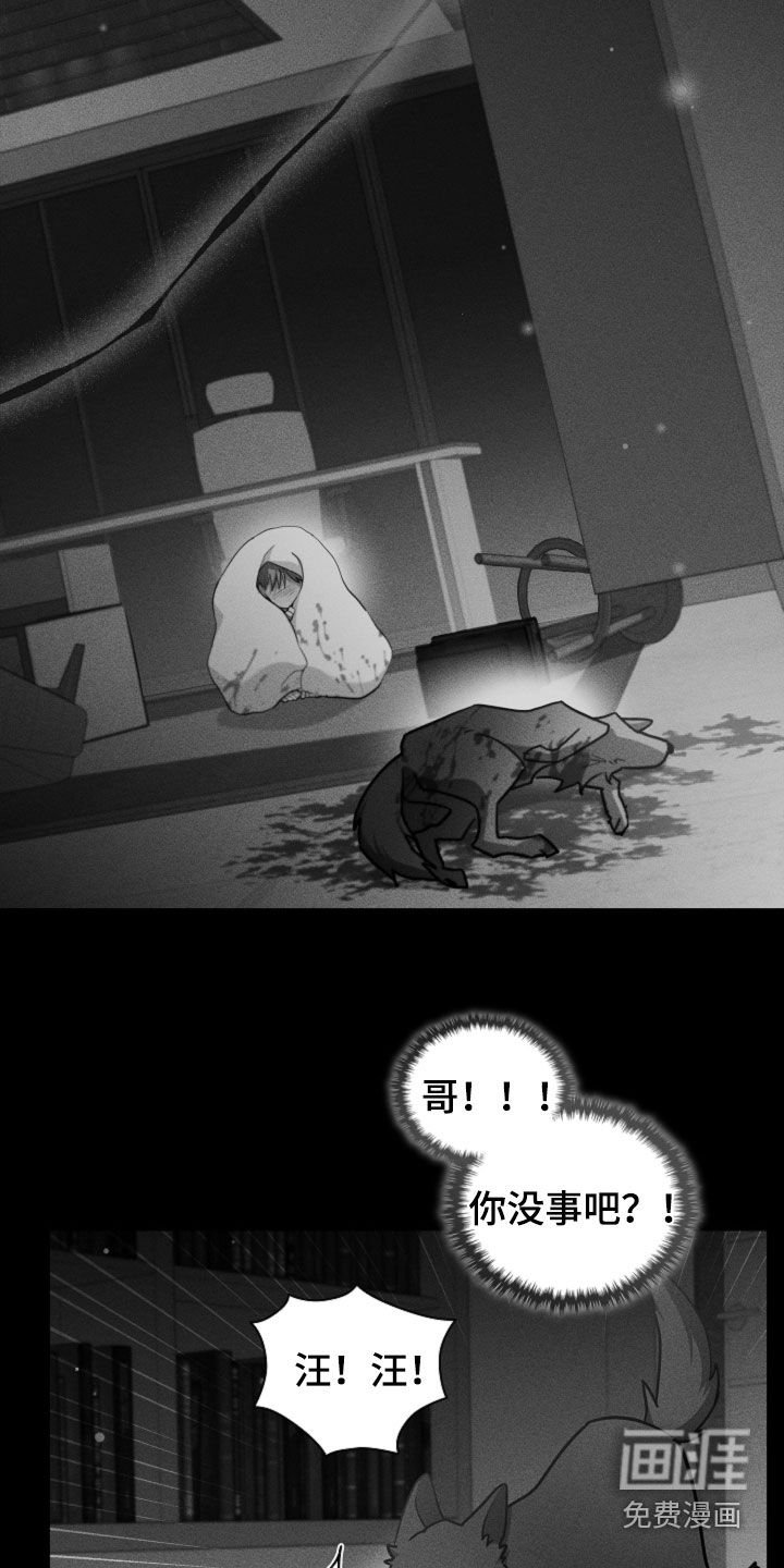 第81章：【第二季】医院生活