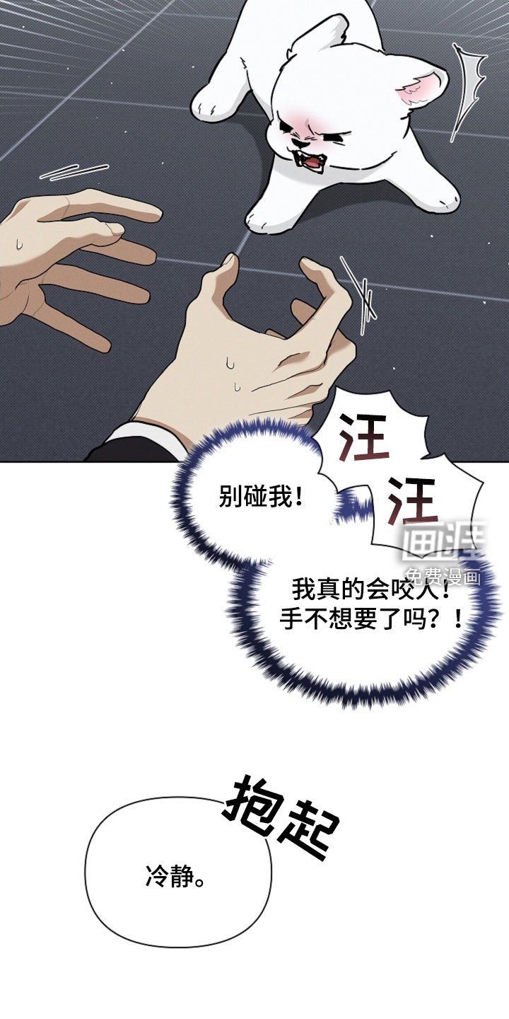 第84章：【第二季】家人