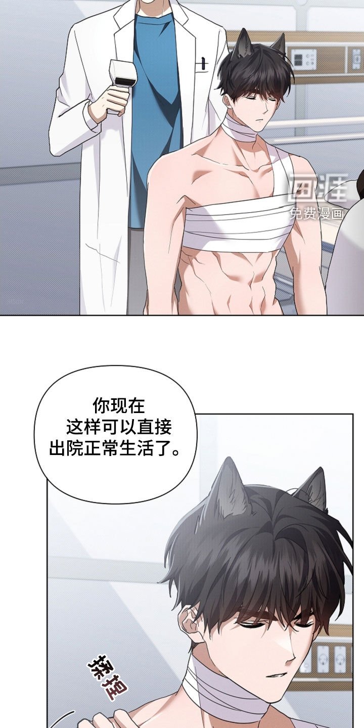 第86章：【第二季完结】双向奔赴