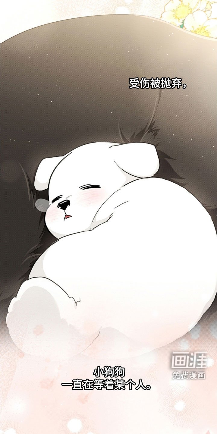 第86章：【第二季完结】双向奔赴