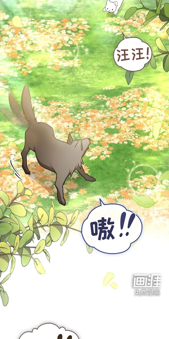 第86章：【第二季完结】双向奔赴