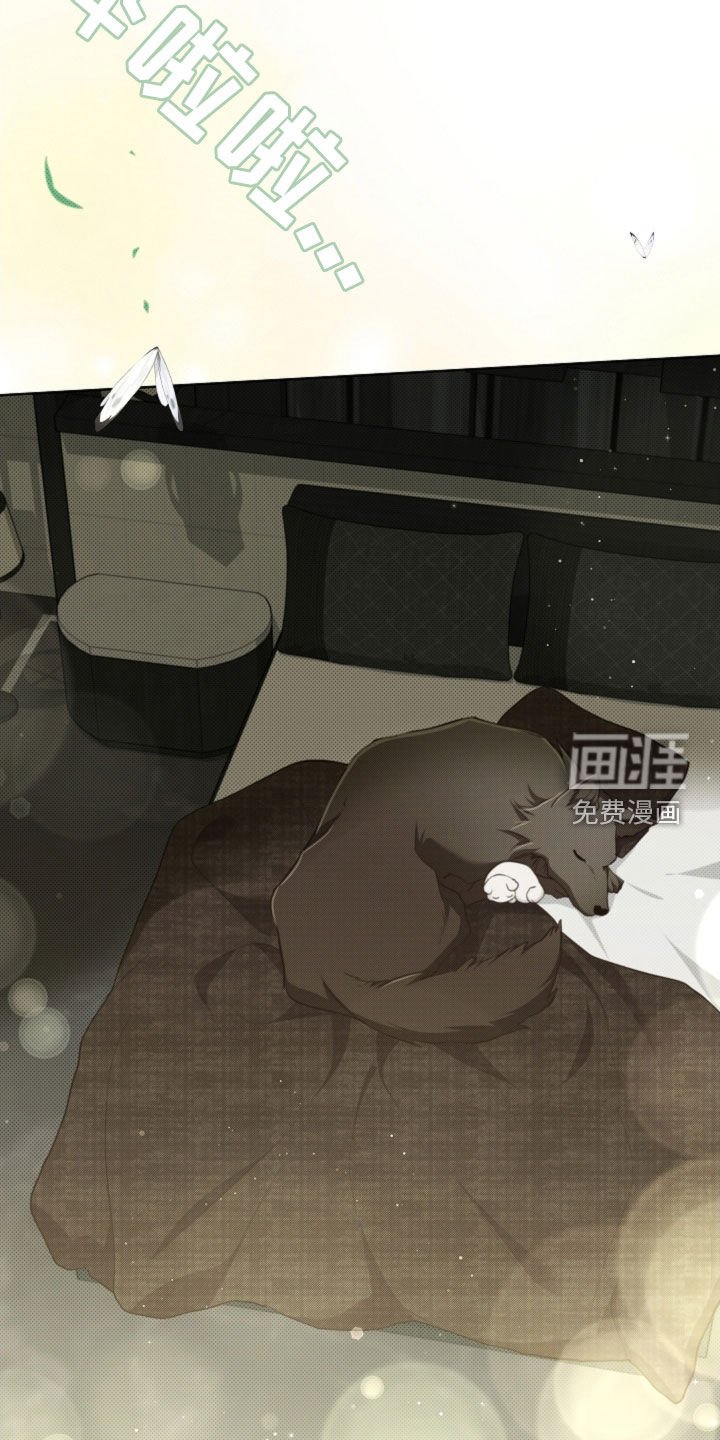 第86章：【第二季完结】双向奔赴
