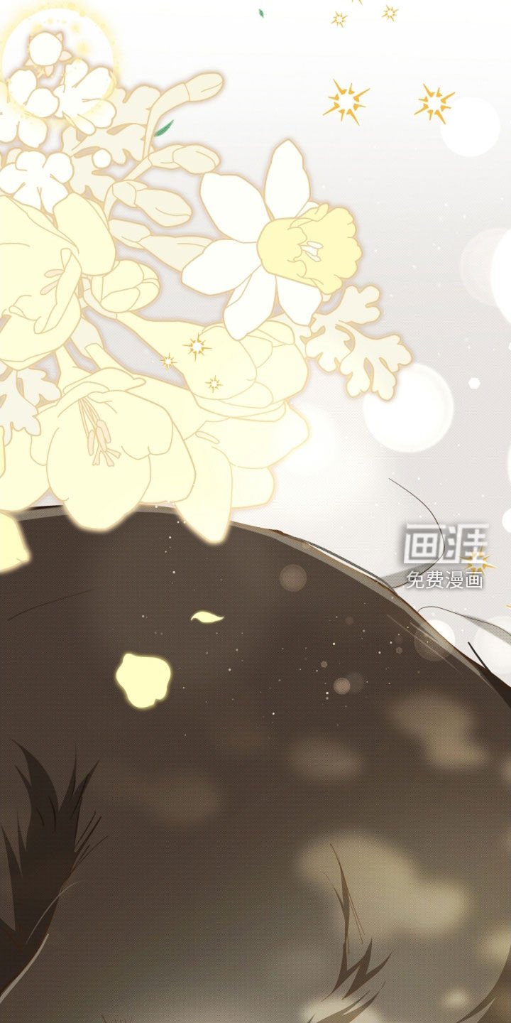第86章：【第二季完结】双向奔赴