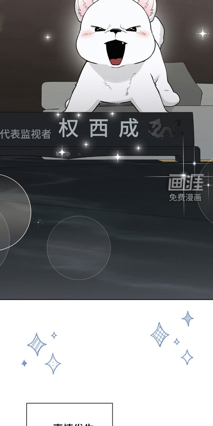 第87章：【番外】代表监视者