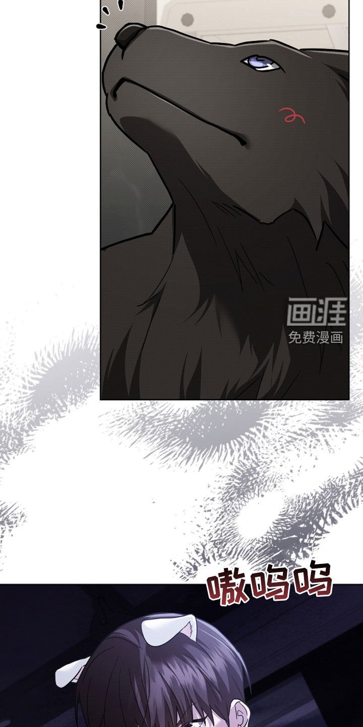 第87章：【番外】代表监视者